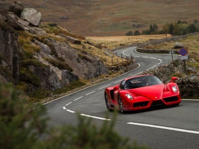 How many Ferrari Enzo's were made?