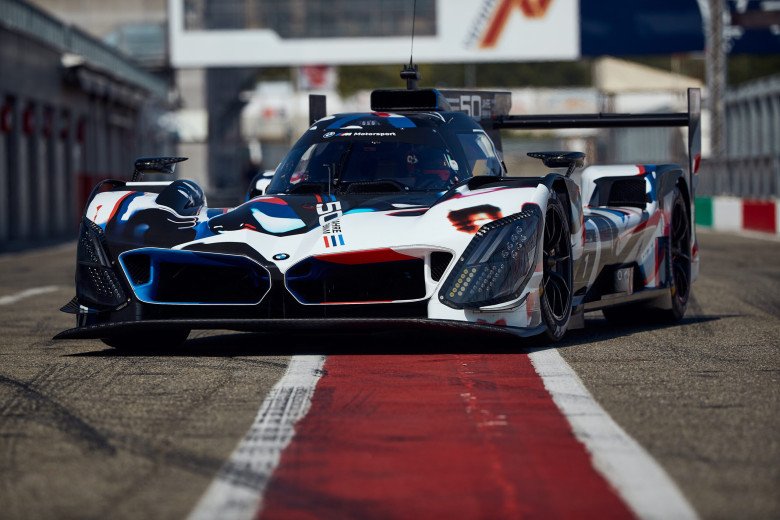 Triumphs on the Professional Circuit