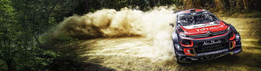 DirtFish