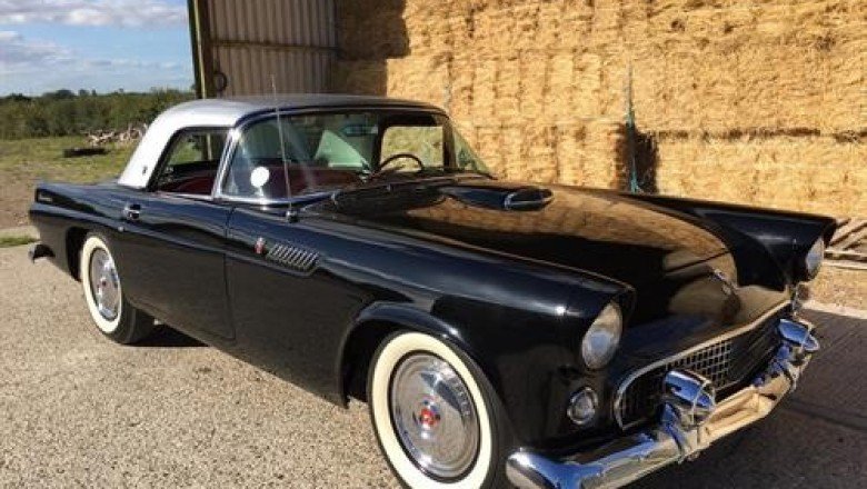 AMERICAN MUSCLE IS ON THE MARCH AT THE DECEMBER SALE