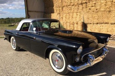 AMERICAN MUSCLE IS ON THE MARCH AT THE DECEMBER SALE