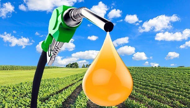 How to Run a Diesel Engine on Vegetable Oil 1: The Great Biodiesel Story