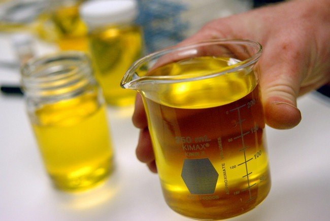 How to Run a Diesel Engine on Vegetable Oil 2: The Great Biodiesel Story