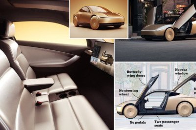 Inside Tesla's futuristic Robotaxi: Elon Musk's long-awaited driverless cab features NO steering wheel or pedals - and could cost less than $30,000