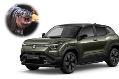 Suzuki's First Electric Car Looks Like Moo Deng