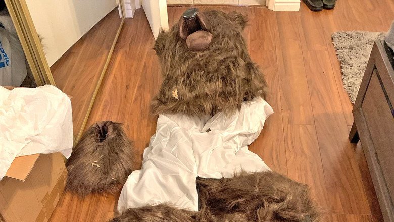 'Bear' filmed trashing luxury car revealed to be a person wearing a costume for insurance scam