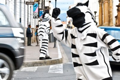 The world's most unusual driving rules - from country where road rage is illegal to capital city with 'zebras' controlling traffic