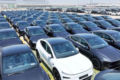 Renault, Volkswagen, and Chinese EVs swoop in as Tesla's Europe sales slump