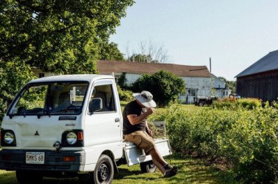 Kei Trucks in the US: Why These Mini Workhorses Are Gaining Popularity