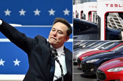 Tesla car crash as UK sales sink 62% amid mounting backlash against 'toxic' boss Elon Musk