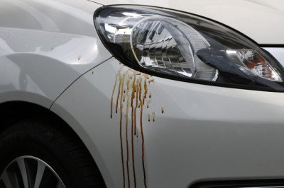 What's The Best Way To Remove Tree Sap From Your Car?