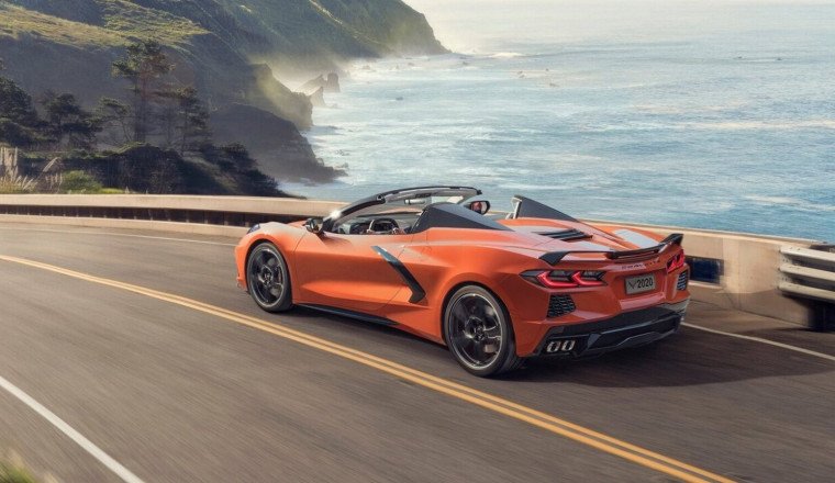I Want A Sports Car That Is Good For My Cat! What Should I Buy?