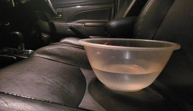 Brits urged to drive with a bowl of water on their passenger seat