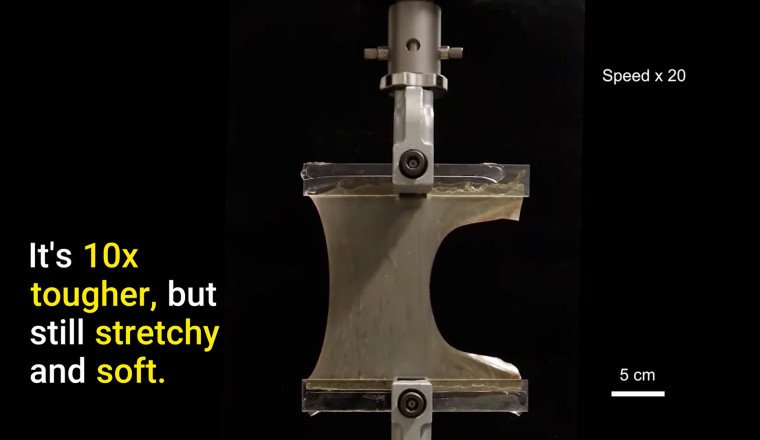 Harvard Found a Way to Make Rubber 10x Tougher and It Could Be Big for Cars